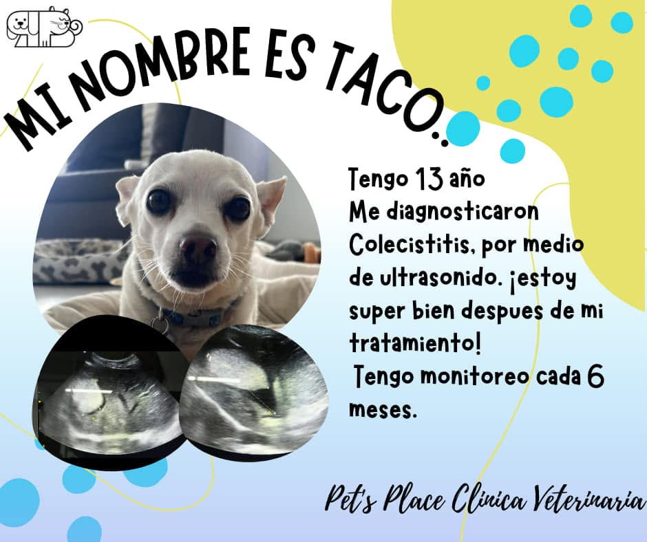 Testimonio de paciente atendido en Place for Pet's